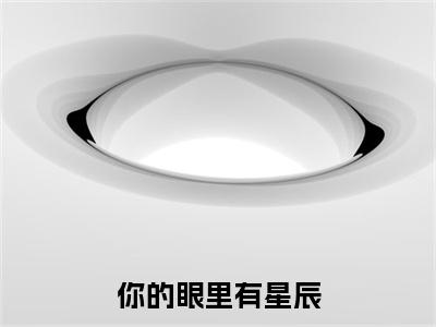 你的眼里有星辰全文免费阅读无弹窗大结局，陆南叙季念念小说最新章节