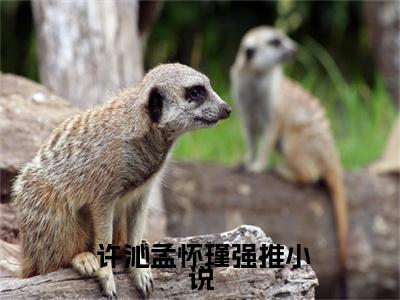 穿到白粥姐被收养前，这养女我来当小说全文免费阅读无弹窗大结局_穿到白粥姐被收养前，这养女我来当最新章节列表_笔趣阁