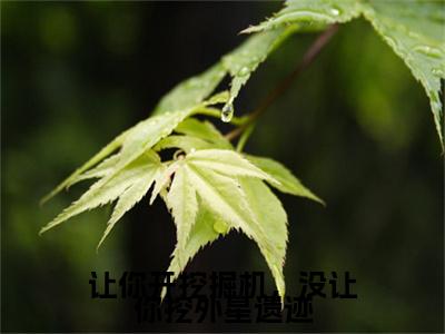 小说让你开挖掘机，没让你挖外星遗迹在线阅读-正版小说《苏浩》让你开挖掘机，没让你挖外星遗迹全文阅读