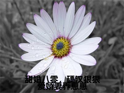 林西西程止戈(甜婚八零,硬汉狠狠爱娇妻养崽崽)全文免费阅读无弹窗大结局_甜婚八零,硬汉狠狠爱娇妻养崽崽免费最新章节列表_笔趣阁