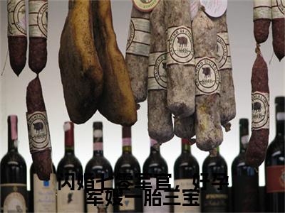 姜妍陆云升高赞小说(闪婚七零军官,好孕军嫂一胎三宝)完结阅读_闪婚七零军官,好孕军嫂一胎三宝免费看全文