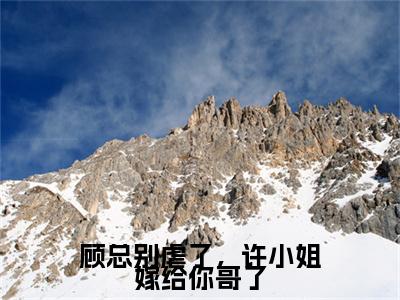 (热推新书)顾总别虐了,许小姐嫁给你哥了完整版免费小说无弹窗阅读_顾总别虐了,许小姐嫁给你哥了最新章节列表_笔趣阁(顾哲宇许妍)