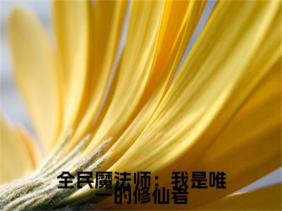 叶枫（叶枫）全文免费阅读无弹窗大结局_全民魔法师：我是唯一的修仙者:叶枫最新章节列表_笔趣阁（叶枫）