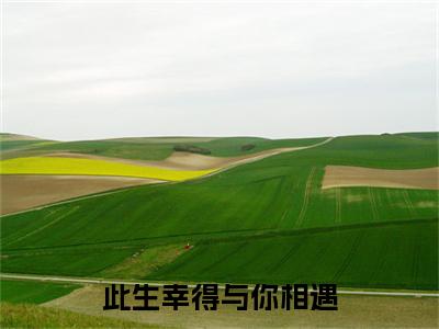 阮歆茗孟夜霖全文免费免费阅读无弹窗最新章节列表_笔趣阁(此生幸得与你相遇全文免费)