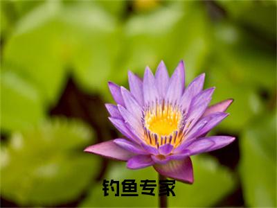 陆尘（钓鱼专家小说）全文免费阅读无弹窗大结局_钓鱼专家全文免费阅读（陆尘小说）最新章节列表_笔趣阁（钓鱼专家）