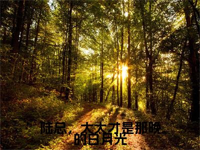 主角为叶佳禾陆景墨的小说（陆总，太太才是那晚的白月光）无弹窗大结局-最新小说陆总，太太才是那晚的白月光全文阅读最新章节列表_笔趣阁