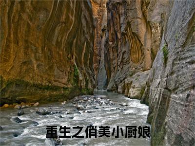 黎锦儿顾青云（重生之俏美小厨娘）完整版小说阅读-黎锦儿顾青云小说（重生之俏美小厨娘）精彩免费试读
