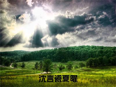沈言瓷夏曜夏曜沈言瓷小说-沈言瓷夏曜小说全文免费阅读