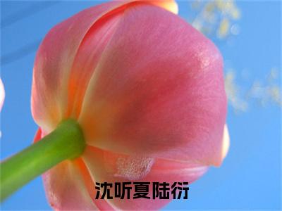 陆衍沈听夏小说-《沈听夏陆衍》完整章节阅读无弹窗免费阅读大结局