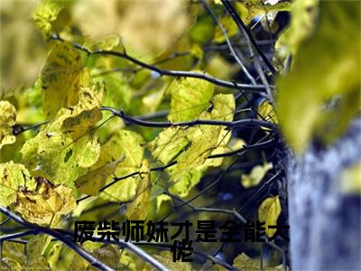 废柴师妹才是全能大佬(秦月璃)全文免费阅读无弹窗大结局_废柴师妹才是全能大佬最新章节列表笔趣阁