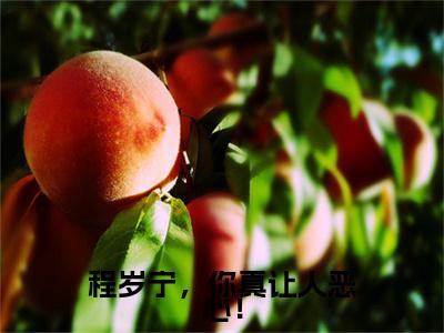 程岁宁，你真让人恶心！（程岁宁贺聿礼）全文免费阅读无弹窗大结局_程岁宁，你真让人恶心！在线阅读笔趣阁(程岁宁贺聿礼）