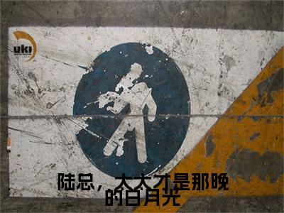 陆总，太太才是那晚的白月光（叶佳禾陆景墨）全文小说在线阅读-陆总，太太才是那晚的白月光全章节最新阅读