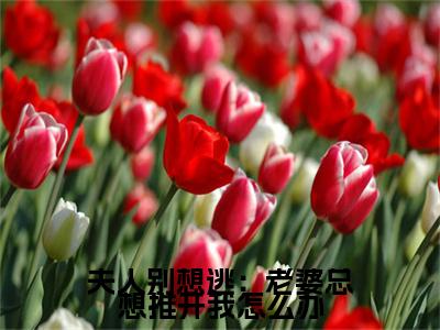 （夫人别想逃：老婆总想推开我怎么办） 黎盛夏顾承安全文完整版-2023最新热门榜单小说夫人别想逃：老婆总想推开我怎么办（ 黎盛夏顾承安）