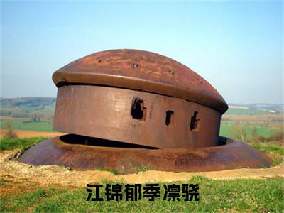 江锦郁季凛骁(季凛骁江锦郁)全文免费阅读大结局_江锦郁季凛骁最新章节列表_笔趣阁