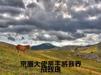 京圈大佬亲手将我养成玫瑰小说全文免费阅读无弹窗-(慕星翊傅廷北阅读无弹窗)穿越小说免费阅读_笔趣阁