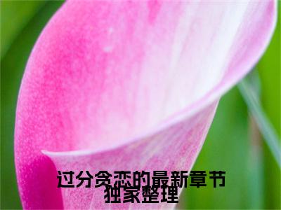  沈时砚沈鹿溪全文（过分贪恋的最新章节）全文免费阅读无弹窗大结局_ 沈时砚沈鹿溪免费最新章节列表_笔趣阁