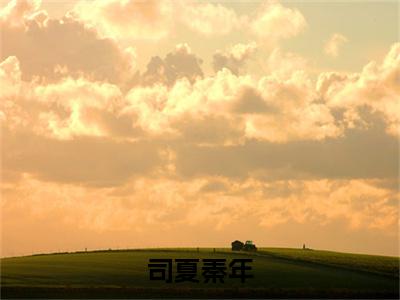 秦年司夏(司夏秦年)免费全文阅读小说_（秦年司夏）司夏秦年最新章节列表-笔趣阁（秦年司夏）