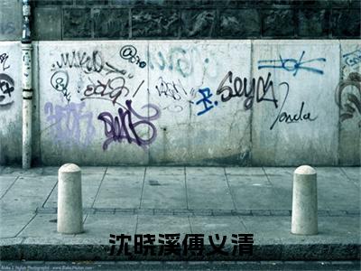 傅义清沈晓溪全文免费阅读大结局-傅义清沈晓溪最新章节免费阅读大结局