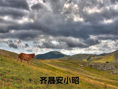 齐晟安小昭全文免费阅读-（安小昭齐晟）小说全文免费阅读正版无弹窗