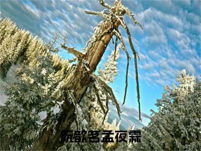 （孟夜霖阮歆茗）是什么小说-阮歆茗孟夜霖全文免费阅读无弹窗大结局（孟夜霖阮歆茗）最新章节列表_笔趣阁