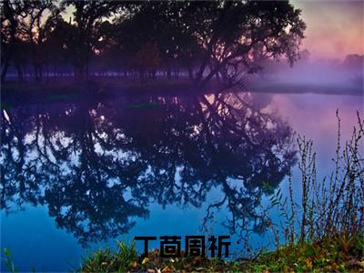 丁茴周祈（周祈丁茴）全文免费阅读无弹窗大结局_（丁茴周祈全文免费阅读无弹窗）最新章节列表_笔趣阁
