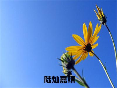 大明：最强纨绔（ 陆灿嘉靖全文）全文免费阅读无弹窗大结局_（ 陆灿嘉靖）大明：最强纨绔全文小说最新章节列表笔趣阁（ 陆灿嘉靖全文）