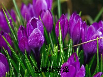 (纪棠靳宇泽)纪棠靳宇泽小说全文免费_(纪棠靳宇泽)最新章节列表笔趣阁