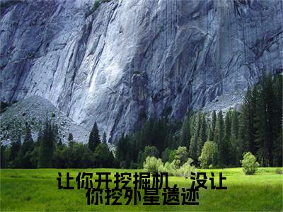 （让你开挖掘机，没让你挖外星遗迹）在线阅读-主角是（苏浩）的小说让你开挖掘机，没让你挖外星遗迹全文赏析最新章节列表_笔趣阁