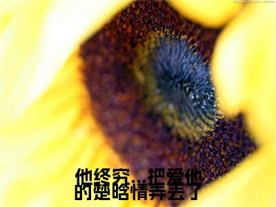 楚晗清纪洵阳小说(他终究...把爱他的楚晗情弄丢了)全文免费阅读_他终究...把爱他的楚晗情弄丢了最新章节列表笔趣阁(楚晗清纪洵阳)