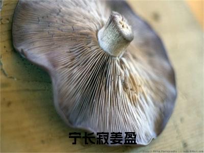 姜盈宁长寂(姜盈宁长寂)全文免费阅读无弹窗大结局_宁长寂姜盈最新章节列表_笔趣阁(姜盈宁长寂)