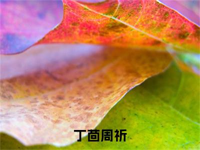 (周祈丁茴)全文免费阅读无弹窗大结局_丁茴周祈免费小说最新章节列表笔趣阁(周祈丁茴)