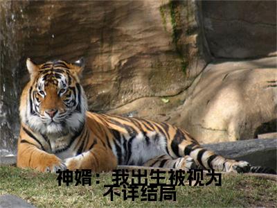 神婿：我出生被视为不详小说（ 叶青山宋妙妙）全文免费阅读无弹窗大结局_神婿：我出生被视为不详全文免费完结版阅读（ 叶青山宋妙妙）