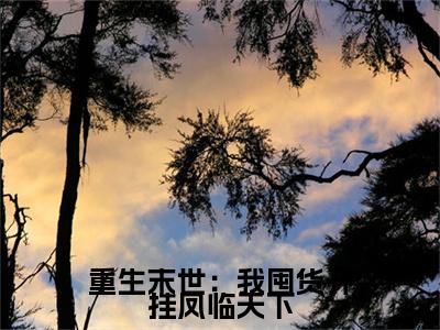 萧静婉小说全文免费阅读(萧静婉)全文免费阅读无弹窗大结局_(重生末世:我囤货开挂凤临天下小说免费阅读)重生末世:我囤货开挂凤临天下无弹窗最新章节列表_笔趣阁(萧静婉)