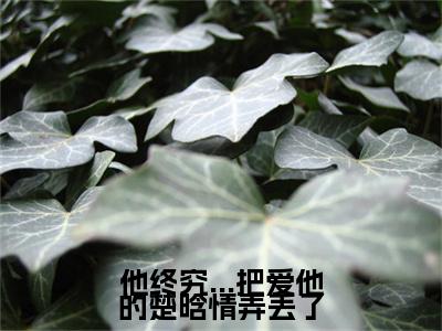 他终究...把爱他的楚晗情弄丢了（楚晗清纪洵阳）免费小说-他终究...把爱他的楚晗情弄丢了小说完整版阅读