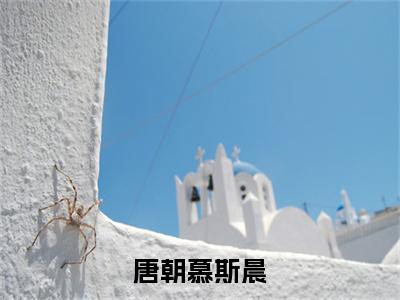 唐朝慕斯晨（慕斯晨唐朝）全文免费阅读无弹窗大结局_（慕斯晨唐朝免费阅读全文大结局)最新章节列表_笔趣阁（唐朝慕斯晨）