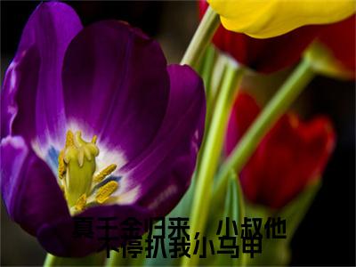 傅砚辞沈知意（真千金归来，小叔他不停扒我小马甲）小说免费阅读_傅砚辞沈知意精选小说全文阅读（真千金归来，小叔他不停扒我小马甲）