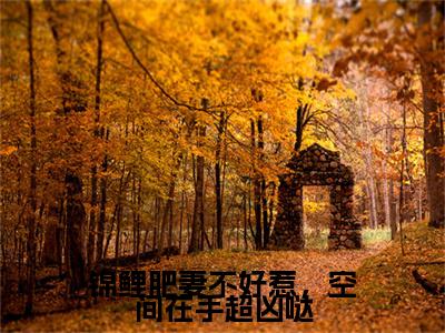 锦鲤肥妻不好惹，空间在手超凶哒（沈山栀）笔趣阁免费小说全文完整版-沈山栀无弹窗免费阅读
