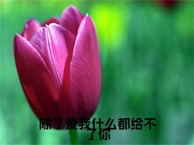 江云苓穆启淮（除了爱我什么都给不了你）免费小说-除了爱我什么都给不了你（江云苓穆启淮）最新章节完整版阅读