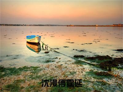 傅霆延沈漫小说（沈漫傅霆延）全文免费读无弹窗大结局_傅霆延沈漫小说免费阅读-笔趣阁（沈漫傅霆延）
