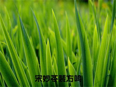 裴方鸣宋妙苓小说全文免费阅读大结局-宋妙苓裴方鸣最新章节列表免费阅读