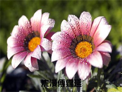 傅霆延沈漫（傅霆延沈漫）全文免费阅读_傅霆延沈漫（沈漫傅霆延）最新章节列表笔趣阁