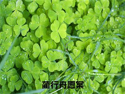 热文（蔺行舟愿棠）在线阅读-主角叫愿棠蔺行舟的小说（蔺行舟愿棠）完整版免费阅读全文最新章节列表_笔趣阁