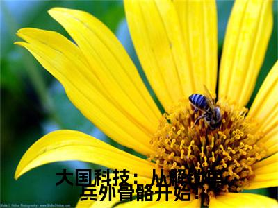  林默任雪亦是哪部小说的主角，大国科技：从解锁单兵外骨骼开始！免费阅读全文大结局