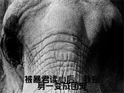 被暴君读心后，我摇身一变成团宠(池夏君衍)免费全文阅读小说_被暴君读心后，我摇身一变成团宠最新章节列表-笔趣阁（池夏君衍）