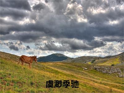 季驰虞渺（虞渺季驰）全文免费阅读大结局_季驰虞渺（虞渺季驰）免费在线阅读_笔趣阁