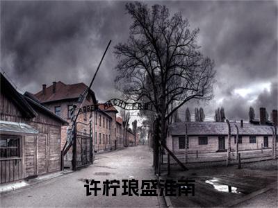盛淮南许柠琅(许柠琅盛淮南)今日爆款小说-(盛淮南许柠琅)许柠琅盛淮南完结大结局免费阅读