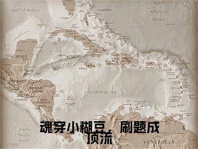 魂穿小糊豆，刷题成顶流（林霏）全文免费阅读无弹窗大结局_魂穿小糊豆，刷题成顶流免费阅读无弹窗