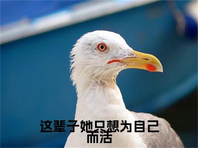 这辈子她只想为自己而活小说(江虞周郁南)全文免费阅读无弹窗_这辈子她只想为自己而活高赞小说免费阅读笔趣阁(江虞周郁南)