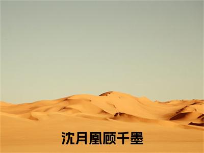 顾千墨沈月凰全文（沈月凰顾千墨）全文免费阅读无弹窗大结局_顾千墨沈月凰免费最新章节列表_笔趣阁（沈月凰顾千墨）