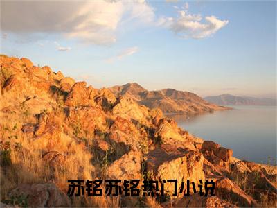 四合院：少年开局，打残棒梗（ 苏铭苏铭）正版小说最新章节在线阅读-老书虫推荐四合院：少年开局，打残棒梗小说
